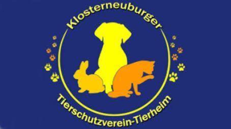 Torte bestellen torte24 logo wien wiener torten shop karikativ 4